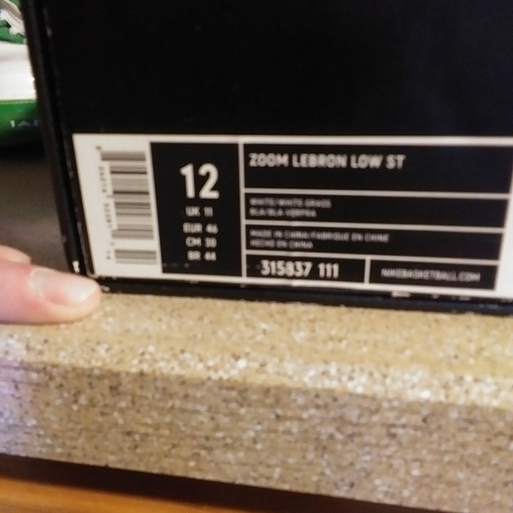 LeBron James shoes